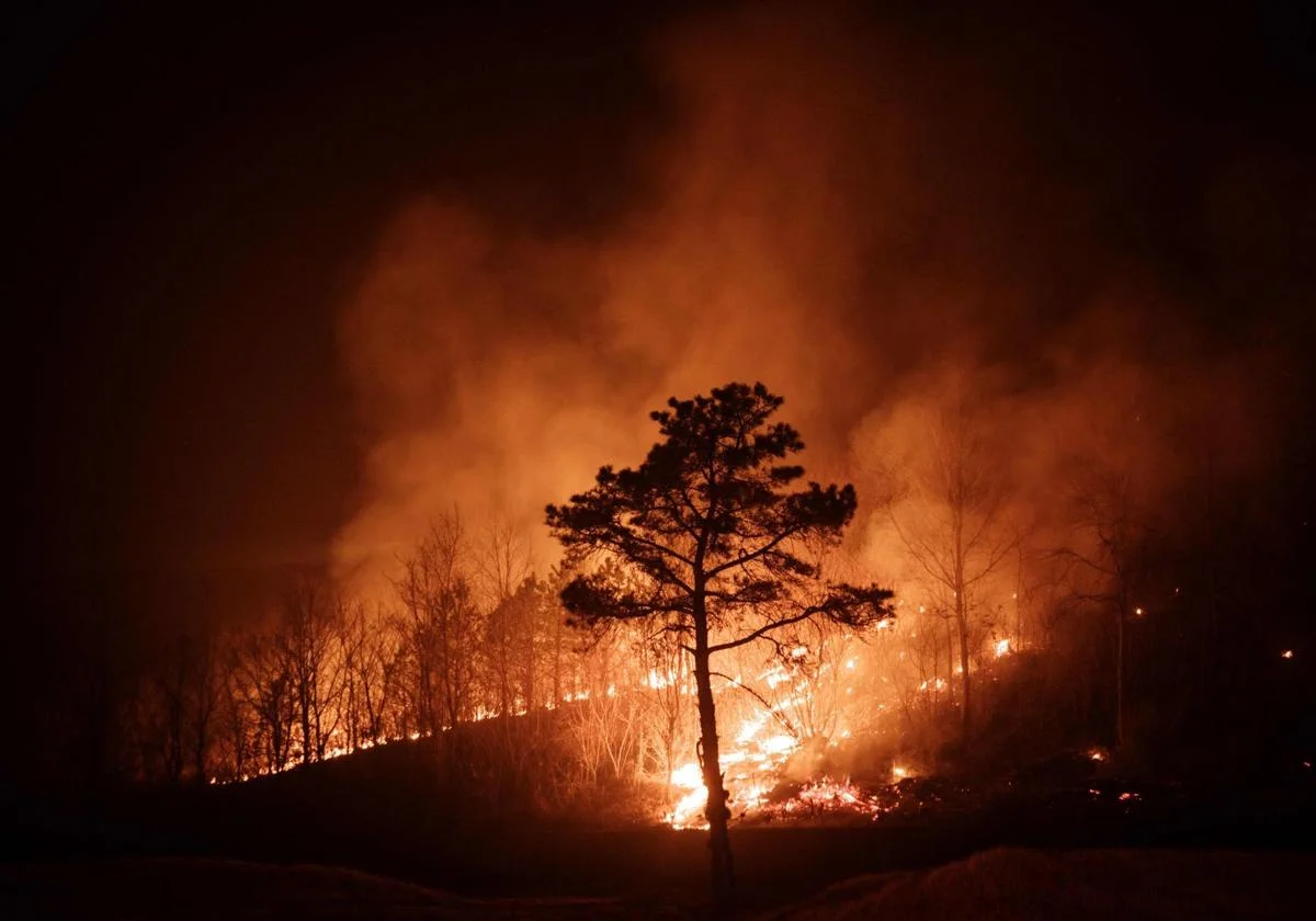 incendios Corea