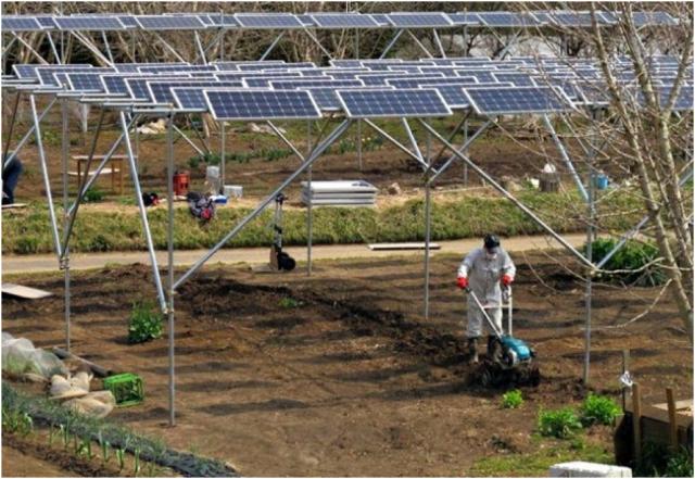 agricultura energía