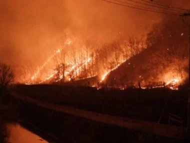 Corea incendio