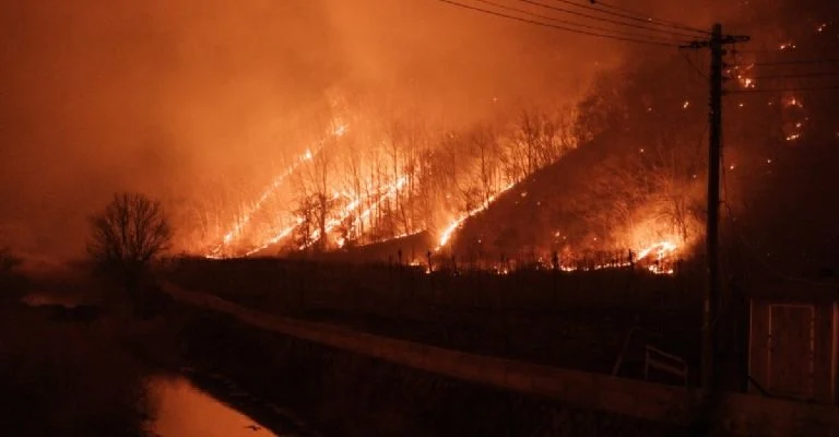 Corea incendio