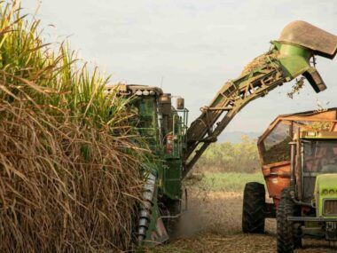 agro