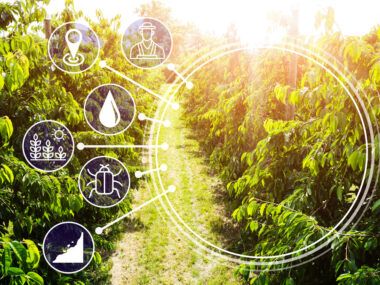 agricultura 4.0