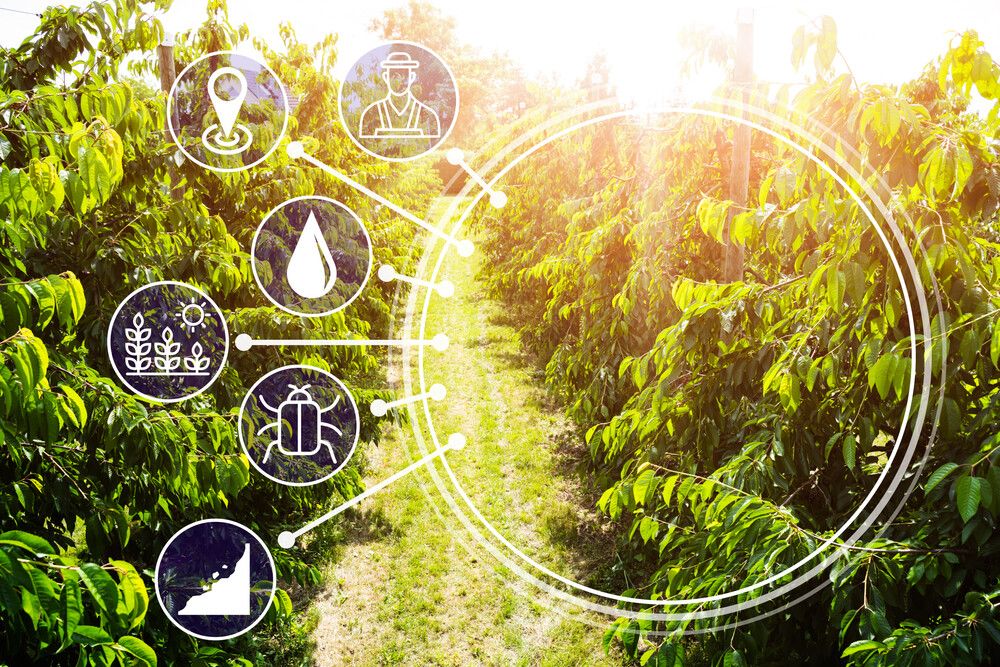 agricultura 4.0
