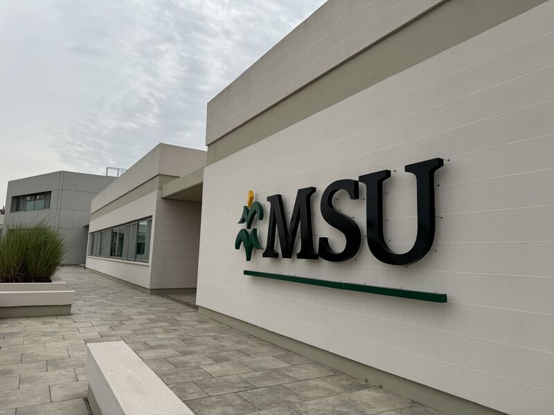 MSU