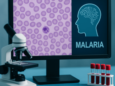 Indonesia malaria