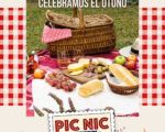 picnic