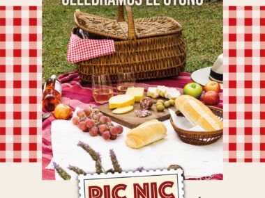 picnic