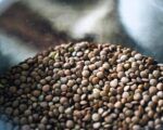 Paramerica porotos negros legumbres