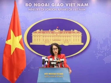 Vietnam paneles
