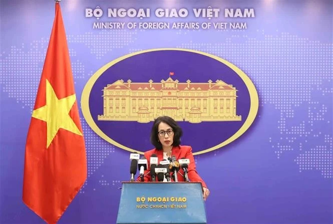 Vietnam paneles