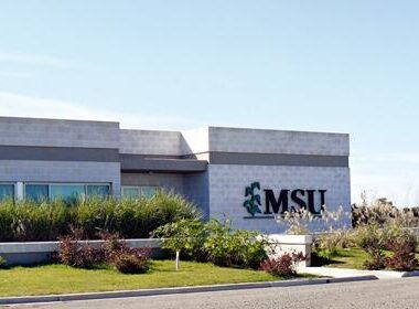 MSU