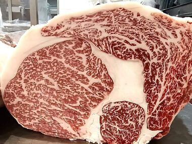 wagyu