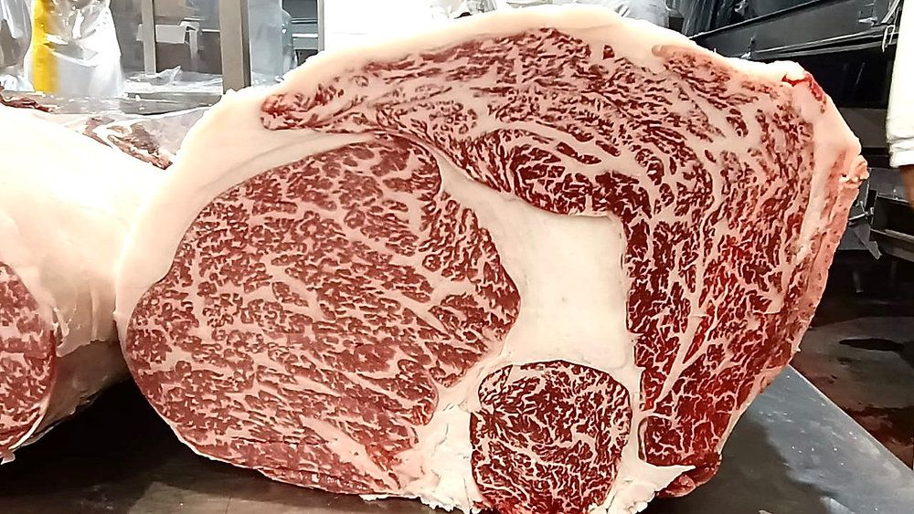 wagyu