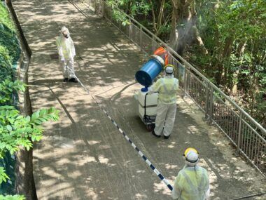 chikungunya Hong Kong
