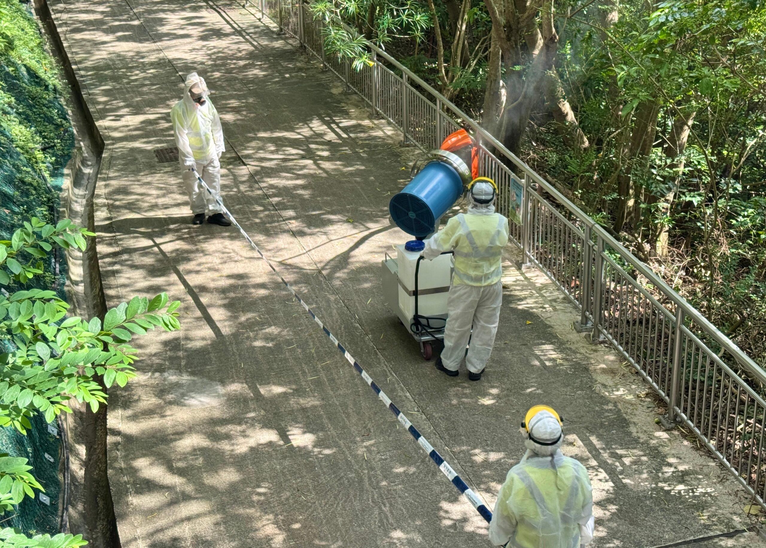 chikungunya Hong Kong