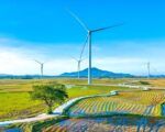 energía eólica