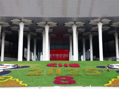 CIIE China