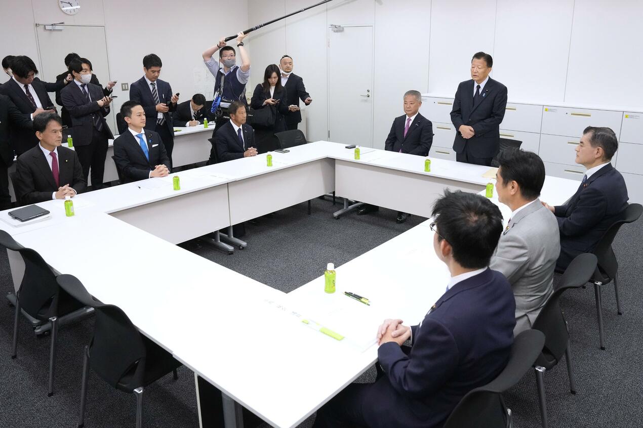 LDP Japón