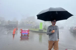 lluvias