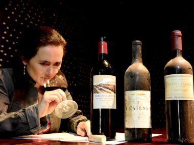 Catena Zapata Vineyard ADrianna