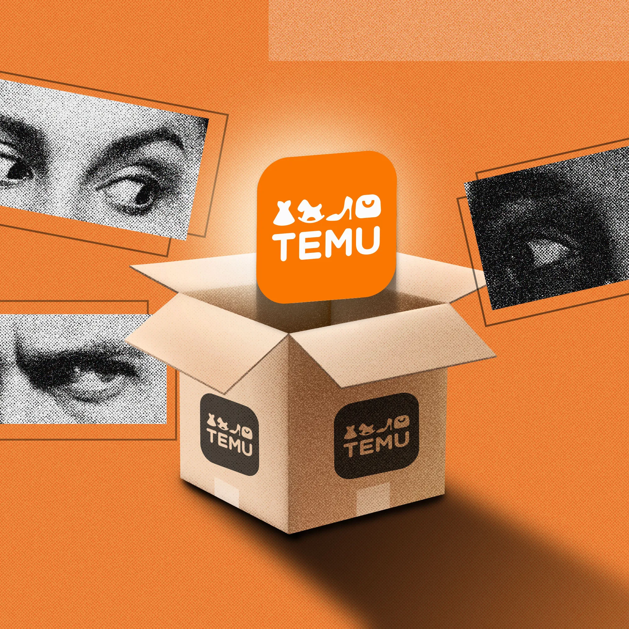Temu Mercado Libre