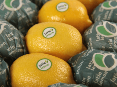 Latin Lemon Grupo Ruiz Marcelo Ruiz Juárez