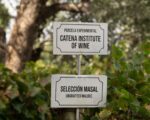 Catena Institute of Wine