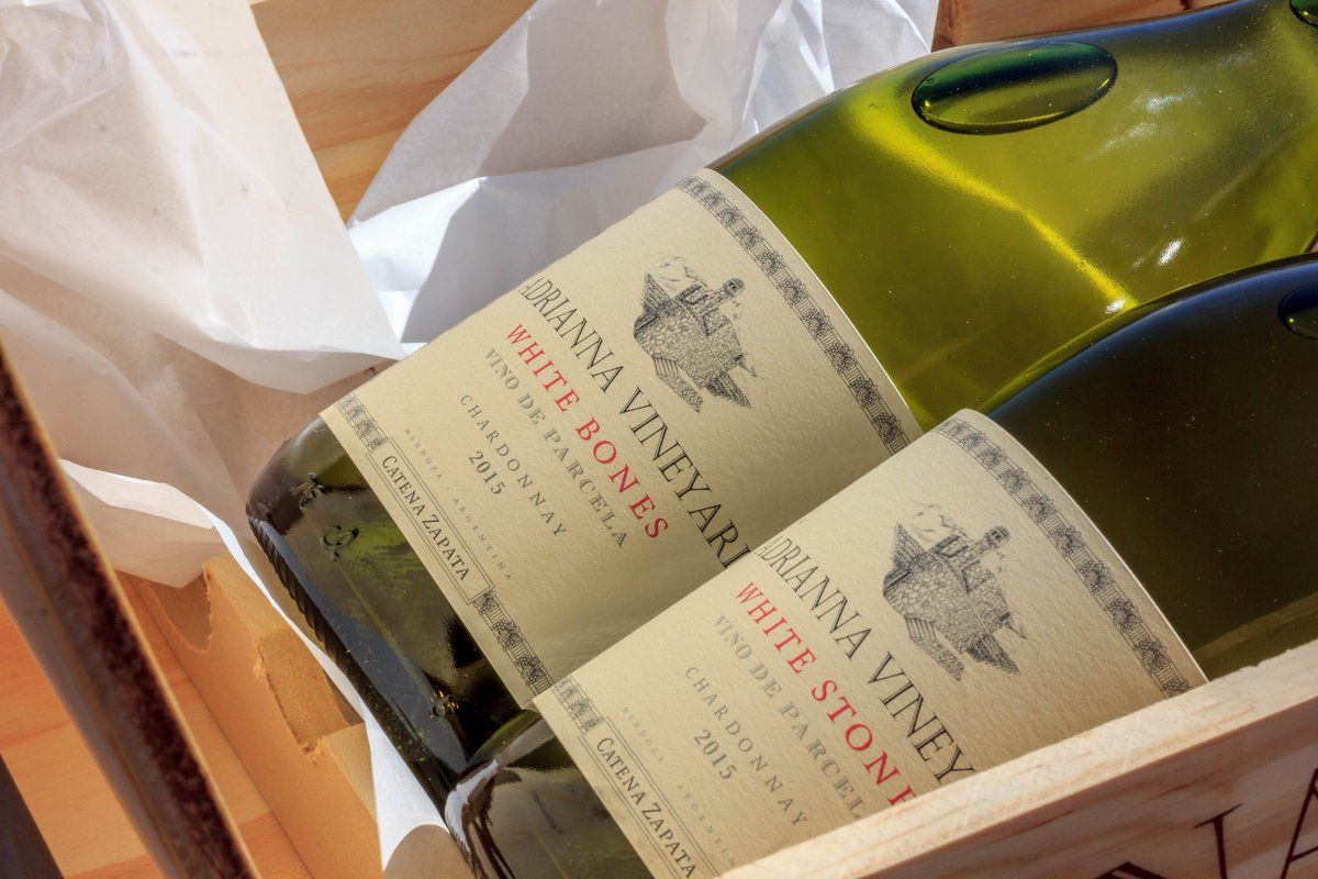 Catena Zapata viñedo Adrianna