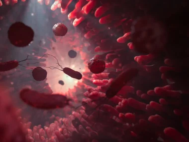 Bacterias intestinales