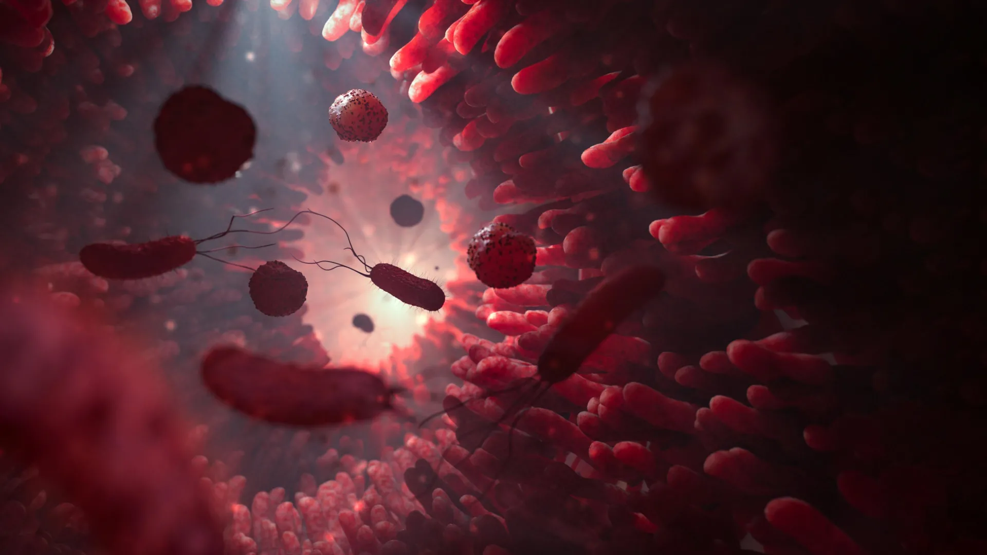 Bacterias intestinales