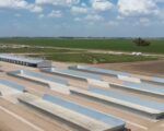 msu agro rufino maní