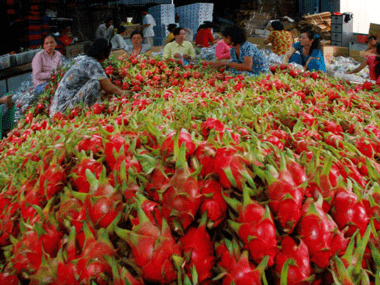 Vietnam