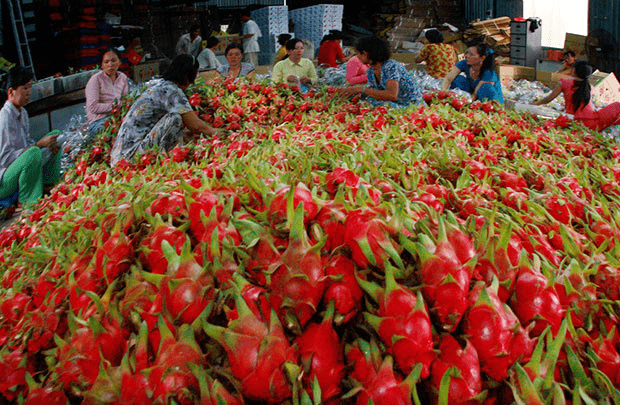 Vietnam