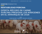 porcino