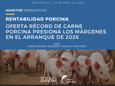 porcino