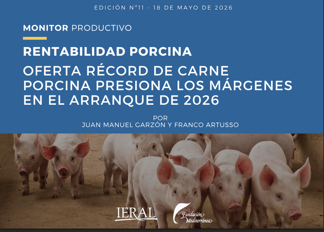 porcino
