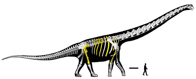 Tailandia dinosaurio