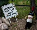 mejor malbec Adrianna Vineyard