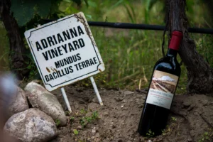 mejor malbec Adrianna Vineyard Catena Zapata
