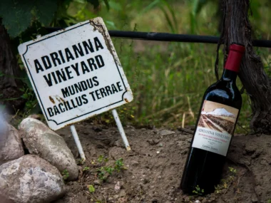 mejor malbec Adrianna Vineyard
