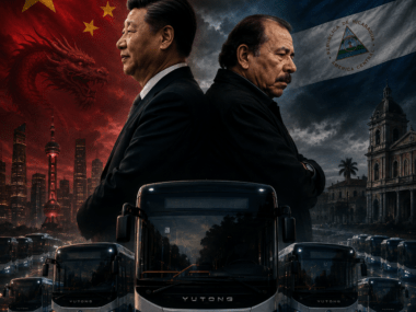 colectivos